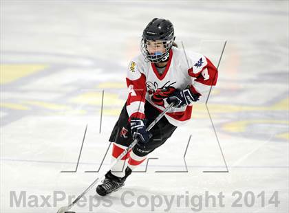 Thumbnail 3 in Hand @ Branford (SCC Division II Semifinal) photogallery.