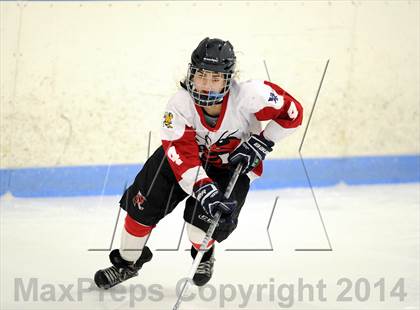 Thumbnail 2 in Hand @ Branford (SCC Division II Semifinal) photogallery.
