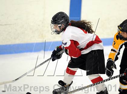 Thumbnail 2 in Hand @ Branford (SCC Division II Semifinal) photogallery.
