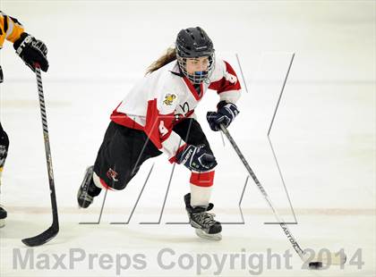 Thumbnail 3 in Hand @ Branford (SCC Division II Semifinal) photogallery.