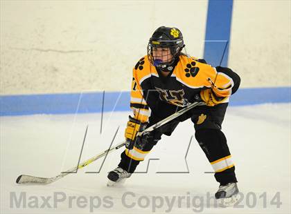 Thumbnail 3 in Hand @ Branford (SCC Division II Semifinal) photogallery.