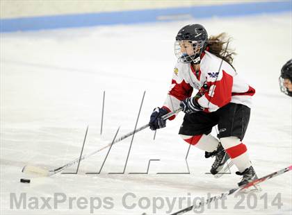 Thumbnail 3 in Hand @ Branford (SCC Division II Semifinal) photogallery.