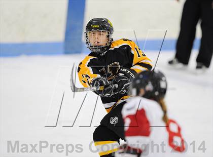 Thumbnail 2 in Hand @ Branford (SCC Division II Semifinal) photogallery.
