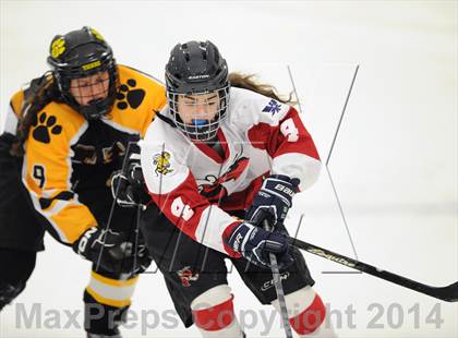 Thumbnail 2 in Hand @ Branford (SCC Division II Semifinal) photogallery.