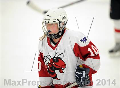 Thumbnail 1 in Hand @ Branford (SCC Division II Semifinal) photogallery.