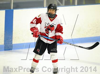 Thumbnail 3 in Hand @ Branford (SCC Division II Semifinal) photogallery.