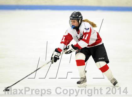 Thumbnail 2 in Hand @ Branford (SCC Division II Semifinal) photogallery.