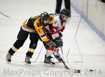 Thumbnail 3 in Hand @ Branford (SCC Division II Semifinal) photogallery.