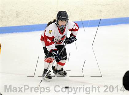 Thumbnail 1 in Hand @ Branford (SCC Division II Semifinal) photogallery.