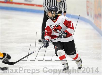 Thumbnail 3 in Hand @ Branford (SCC Division II Semifinal) photogallery.