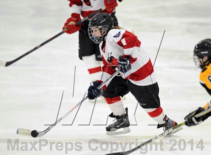 Thumbnail 1 in Hand @ Branford (SCC Division II Semifinal) photogallery.