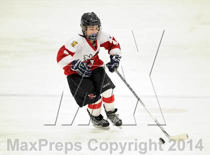 Thumbnail 3 in Hand @ Branford (SCC Division II Semifinal) photogallery.