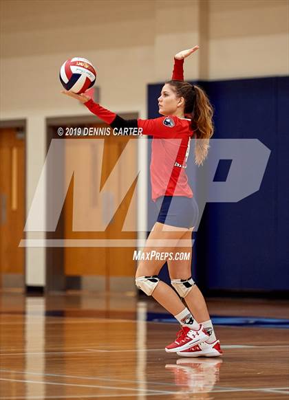Thumbnail 3 in Milton @ Pope photogallery.