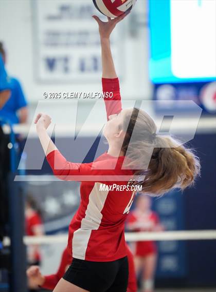 Thumbnail 1 in Regis Jesuit @ Columbine photogallery.