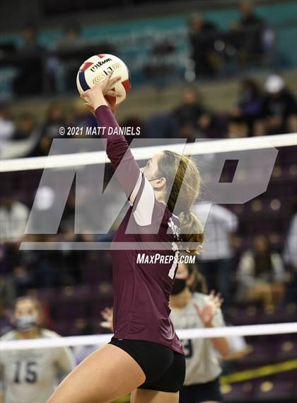 Thumbnail 2 in Cheyenne Mountain vs. Palmer Ridge (CHSAA 4A Semifinal) photogallery.