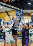 Photo from the gallery "Miyamura @ Pojoaque Valley (Bobby Rodriguz Capital City Tournament)"