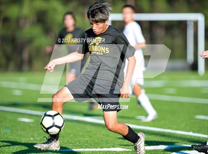 Thumbnail 2 in North Raleigh Christian Academy vs. Cardinal Gibbons  photogallery.