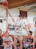 Photo from the gallery "Brewer @ Gardiner"