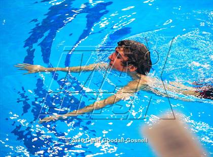 Thumbnail 1 in NCHSAA 4A State Diving Championships photogallery.