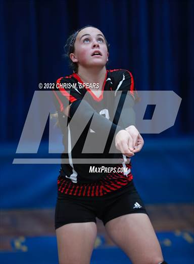 null - Photo 01