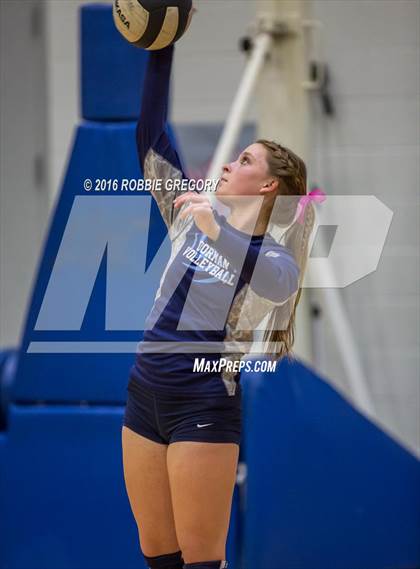 Thumbnail 2 in Dorman @ Byrnes photogallery.