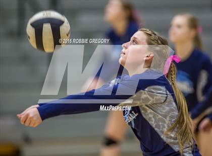 Thumbnail 3 in Dorman @ Byrnes photogallery.