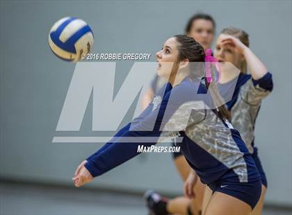 Thumbnail 1 in Dorman @ Byrnes photogallery.