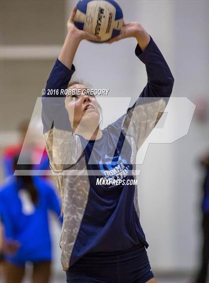 Thumbnail 3 in Dorman @ Byrnes photogallery.