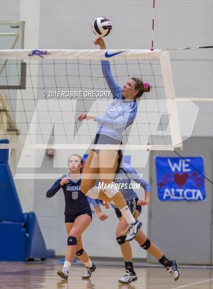 Thumbnail 1 in Dorman @ Byrnes photogallery.