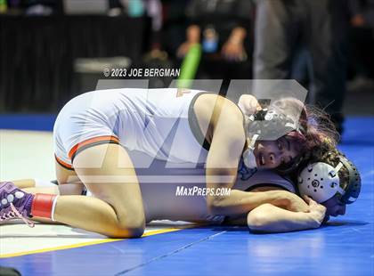 Thumbnail 3 in CIF State Championships (Girl's Championship Round) photogallery.