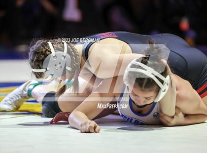 Thumbnail 2 in CIF State Championships (Girl's Championship Round) photogallery.