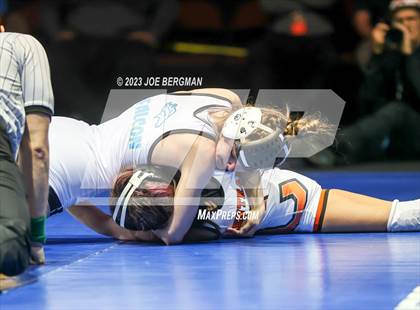 Thumbnail 2 in CIF State Championships (Girl's Championship Round) photogallery.