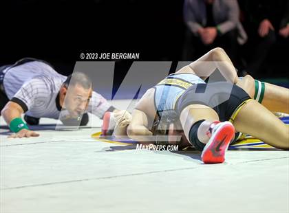 Thumbnail 3 in CIF State Championships (Girl's Championship Round) photogallery.