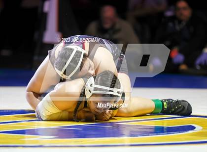 Thumbnail 3 in CIF State Championships (Girl's Championship Round) photogallery.