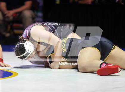 Thumbnail 2 in CIF State Championships (Girl's Championship Round) photogallery.