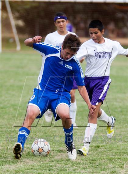 Thumbnail 3 in Tioga @ Denair photogallery.