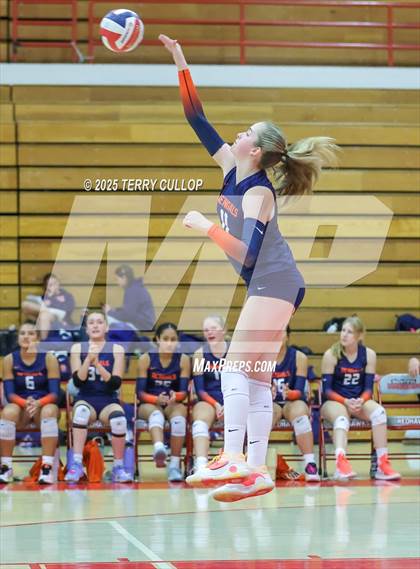 Thumbnail 1 in Brighton @ Bountiful photogallery.