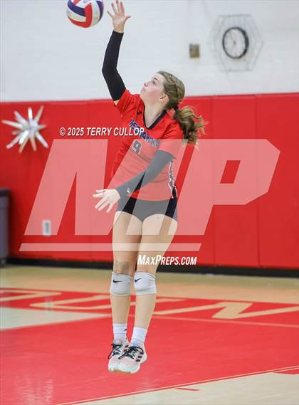 Thumbnail 2 in Brighton @ Bountiful photogallery.