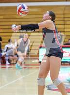 Photo from the gallery "Brighton @ Bountiful"