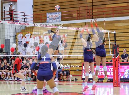 Thumbnail 1 in Brighton @ Bountiful photogallery.