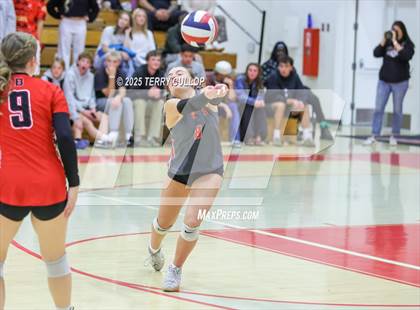 Thumbnail 3 in Brighton @ Bountiful photogallery.