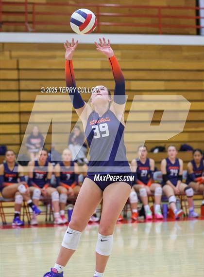 Thumbnail 2 in Brighton @ Bountiful photogallery.