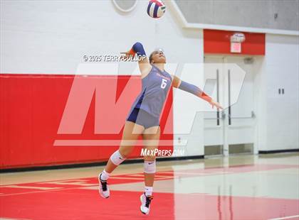 Thumbnail 1 in Brighton @ Bountiful photogallery.