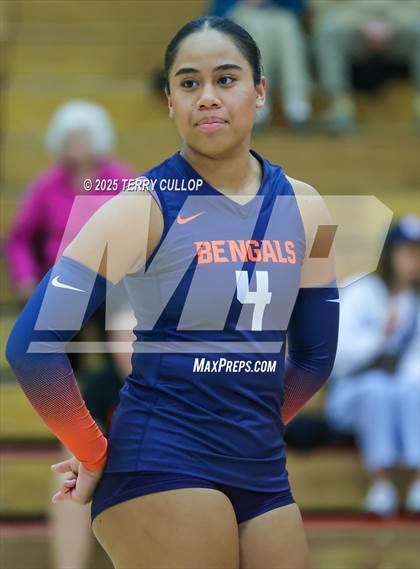 Thumbnail 2 in Brighton @ Bountiful photogallery.