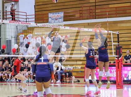 Thumbnail 2 in Brighton @ Bountiful photogallery.