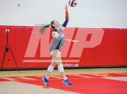 Thumbnail 2 in Brighton @ Bountiful photogallery.