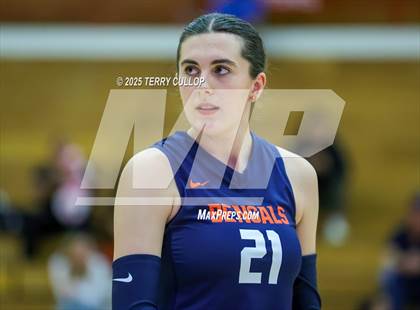 Thumbnail 1 in Brighton @ Bountiful photogallery.