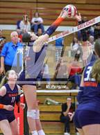 Photo from the gallery "Brighton @ Bountiful"