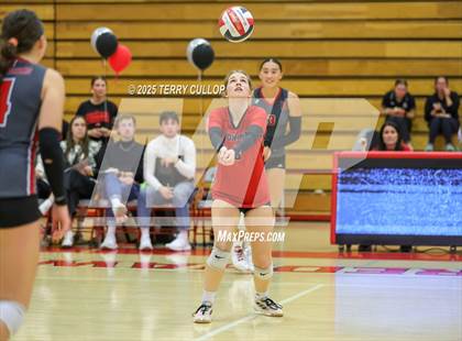 Thumbnail 1 in Brighton @ Bountiful photogallery.