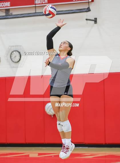 Thumbnail 1 in Brighton @ Bountiful photogallery.